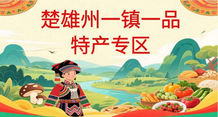 楚雄州一镇一品